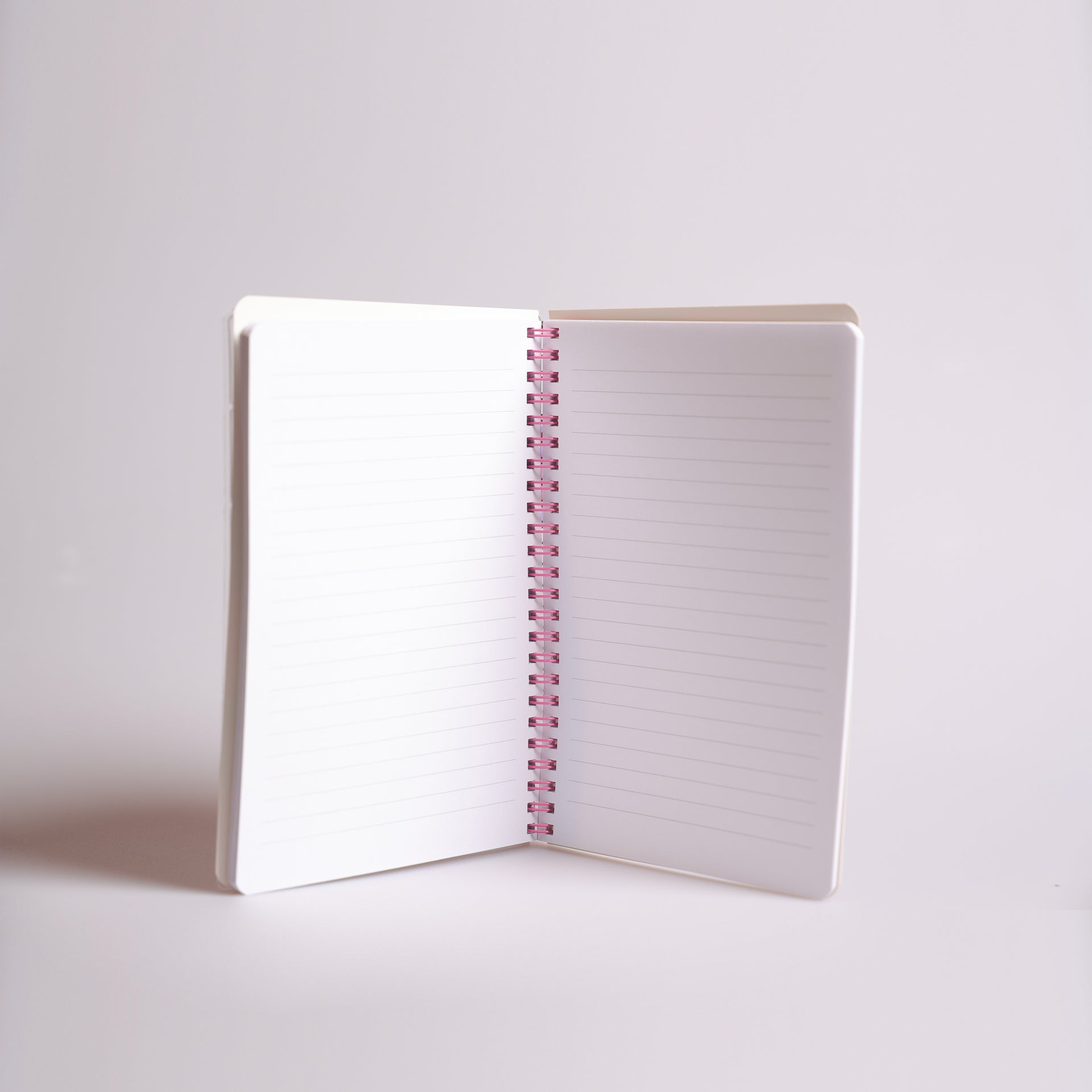 Paul Frank Spiral Notebook